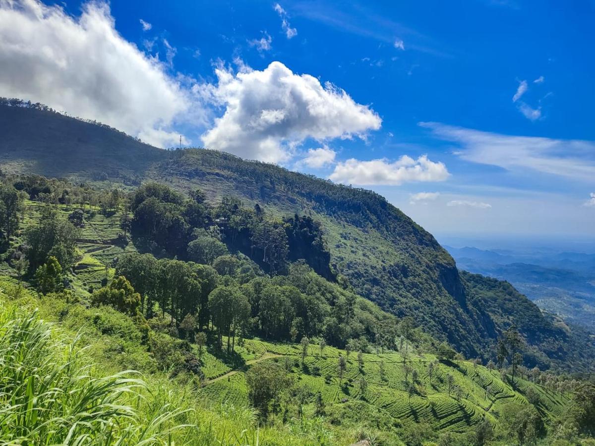 Eden View Ella - Tour Options In The Area Hotel Bagian luar foto